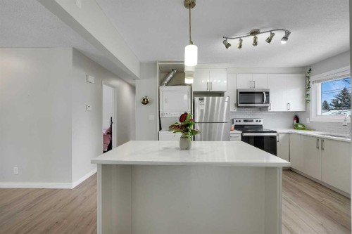 990 Marcombe Drive Ne, Calgary, AB - Indoor Photo Showing Kitchen With Upgraded Kitchen
