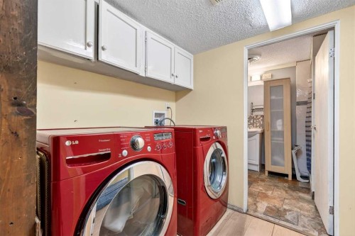 319 Whitney Crescent Se, Calgary, AB - Indoor Photo Showing Laundry Room