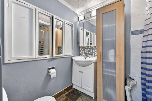 319 Whitney Crescent Se, Calgary, AB - Indoor Photo Showing Bathroom