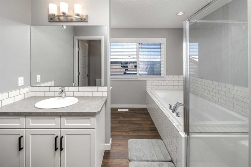 80 Howse Manor Ne, Calgary, AB - Indoor Photo Showing Bathroom