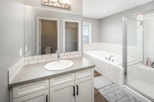 80 Howse Manor Ne, Calgary, AB - Indoor Photo Showing Bathroom