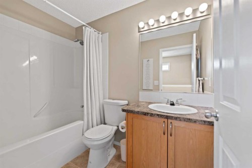 173 Bayside Point Sw, Airdrie, AB - Indoor Photo Showing Bathroom