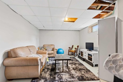 173 Bayside Point Sw, Airdrie, AB - Indoor Photo Showing Basement