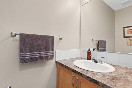 173 Bayside Point Sw, Airdrie, AB - Indoor Photo Showing Bathroom