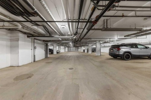 6403-20295 Seton Way Se, Calgary, AB - Indoor Photo Showing Garage