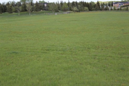 32079 Willow Way, Rural Rocky View County, AB 
