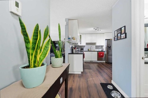 24 Huntstrom Road Ne, Calgary, AB - Indoor Photo Showing Kitchen
