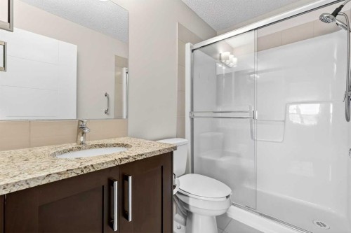 308-402 Marquis Lane Se, Calgary, AB - Indoor Photo Showing Bathroom