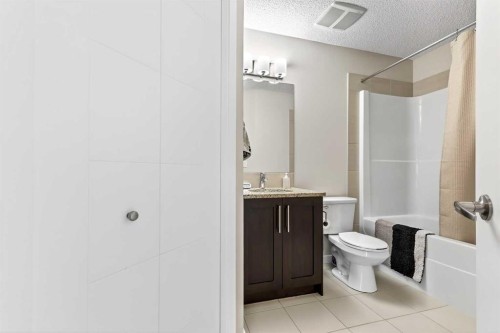 308-402 Marquis Lane Se, Calgary, AB - Indoor Photo Showing Bathroom