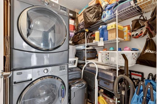 308-402 Marquis Lane Se, Calgary, AB - Indoor Photo Showing Laundry Room