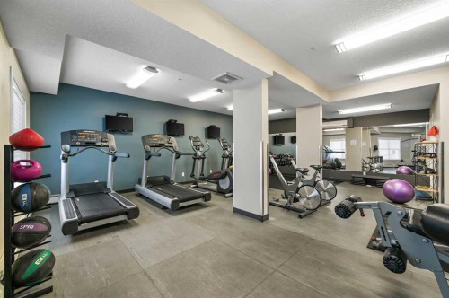 308-402 Marquis Lane Se, Calgary, AB - Indoor Photo Showing Gym Room