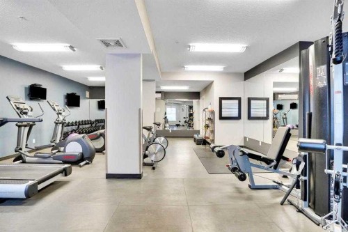 308-402 Marquis Lane Se, Calgary, AB - Indoor Photo Showing Gym Room