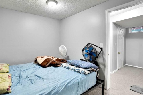 235 Saddlemead Road Ne, Calgary, AB - Indoor Photo Showing Bedroom