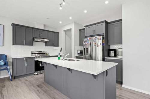 93 Cityline Square Ne, Calgary, AB - Indoor Photo Showing Kitchen With Double Sink With Upgraded Kitchen
