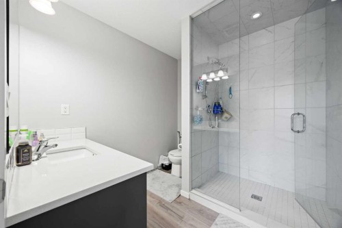 93 Cityline Square Ne, Calgary, AB - Indoor Photo Showing Bathroom