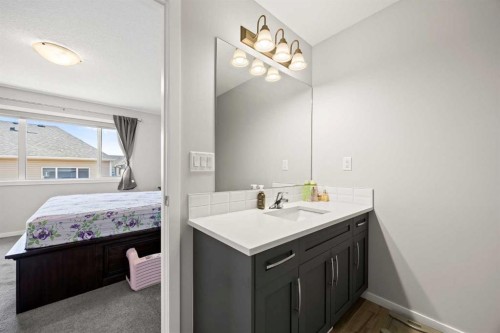 93 Cityline Square Ne, Calgary, AB - Indoor Photo Showing Bathroom