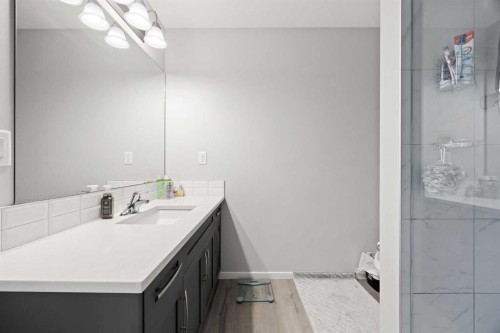 93 Cityline Square Ne, Calgary, AB - Indoor Photo Showing Bathroom