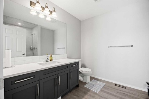 93 Cityline Square Ne, Calgary, AB - Indoor Photo Showing Bathroom