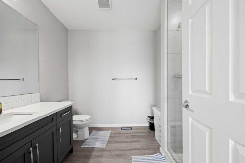 93 Cityline Square Ne, Calgary, AB - Indoor Photo Showing Bathroom