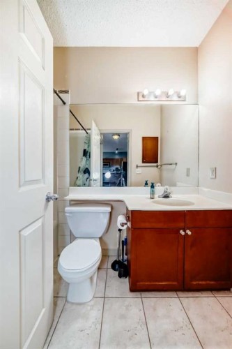 163-333 Riverfront Avenue, Calgary, AB - Indoor Photo Showing Bathroom