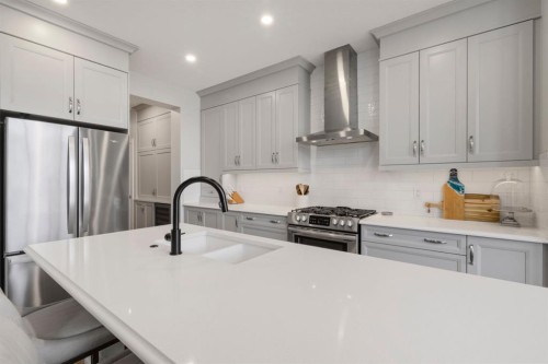 743 Seton Circle Se, Calgary, AB - Indoor Photo Showing Kitchen With Double Sink With Upgraded Kitchen