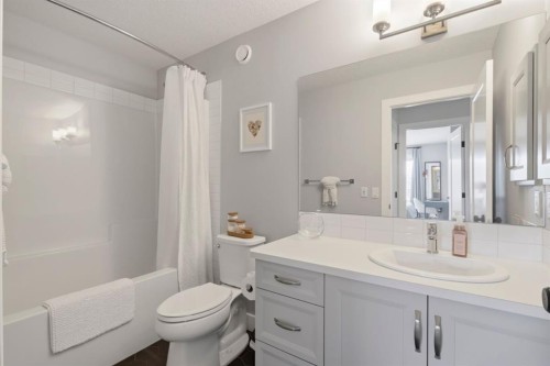 743 Seton Circle Se, Calgary, AB - Indoor Photo Showing Bathroom