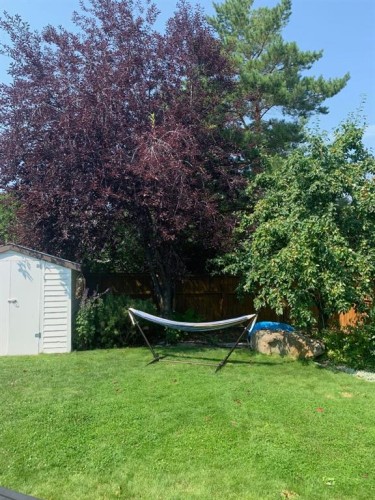 352 Oakside Circle Sw, Calgary, AB - Outdoor