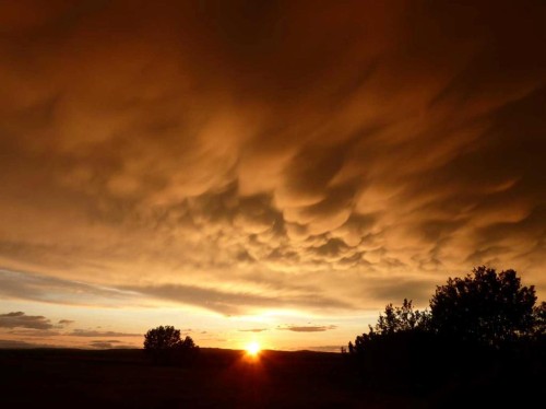 43 Sheep River Heights, Okotoks, AB - Outdoor With View