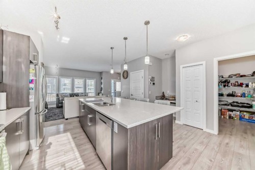 57 Cornerstone Manor Ne, Calgary, AB - Indoor Photo Showing Kitchen With Double Sink With Upgraded Kitchen