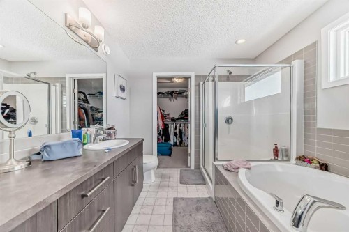 57 Cornerstone Manor Ne, Calgary, AB - Indoor Photo Showing Bathroom