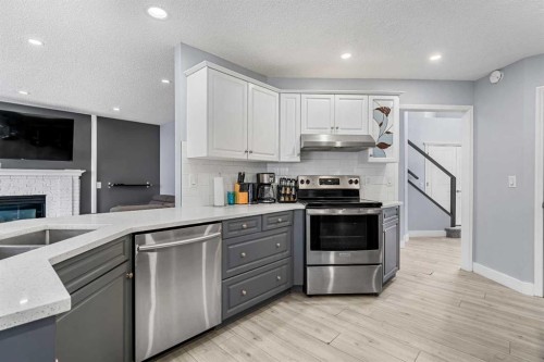 48 Douglas Park Boulevard Se, Calgary, AB - Indoor Photo Showing Kitchen With Double Sink With Upgraded Kitchen