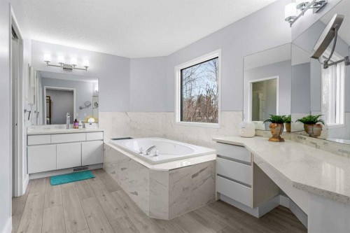 48 Douglas Park Boulevard Se, Calgary, AB - Indoor Photo Showing Bathroom