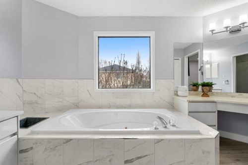 48 Douglas Park Boulevard Se, Calgary, AB - Indoor Photo Showing Bathroom