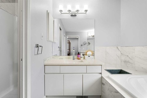48 Douglas Park Boulevard Se, Calgary, AB - Indoor Photo Showing Bathroom