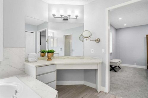 48 Douglas Park Boulevard Se, Calgary, AB - Indoor Photo Showing Bathroom