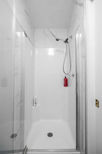 48 Douglas Park Boulevard Se, Calgary, AB - Indoor Photo Showing Bathroom