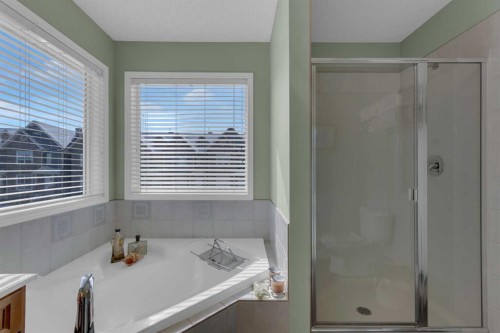 4 Cranfield Circle Se, Calgary, AB - Indoor Photo Showing Bathroom
