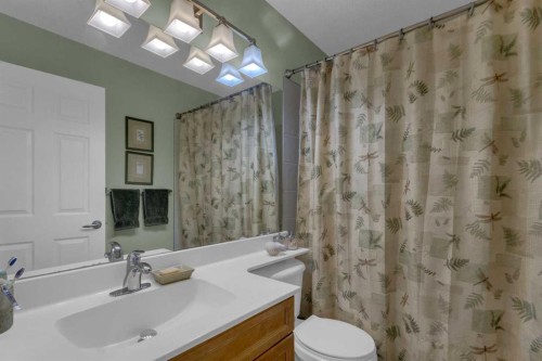 4 Cranfield Circle Se, Calgary, AB - Indoor Photo Showing Bathroom