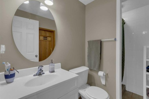 4 Cranfield Circle Se, Calgary, AB - Indoor Photo Showing Bathroom