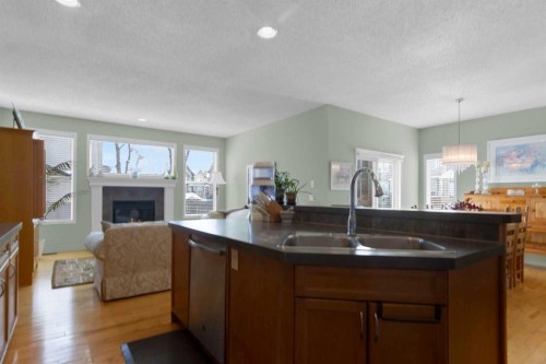 4 Cranfield Circle Se, Calgary, AB - Indoor Photo Showing Kitchen With Fireplace With Double Sink
