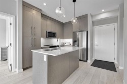2520-395 Skyview Parkway NE Calgary, AB T3N 2K1