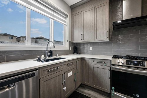 183 Cornerbrook Gate Ne, Calgary, AB - Indoor Photo Showing Kitchen With Double Sink With Upgraded Kitchen