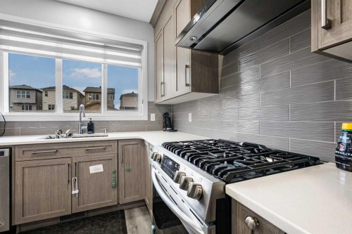 183 Cornerbrook Gate Ne, Calgary, AB - Indoor Photo Showing Kitchen