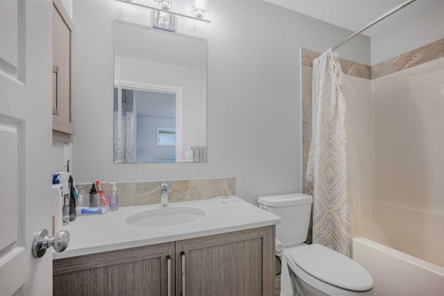 183 Cornerbrook Gate Ne, Calgary, AB - Indoor Photo Showing Bathroom