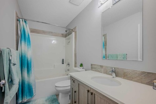 183 Cornerbrook Gate Ne, Calgary, AB - Indoor Photo Showing Bathroom