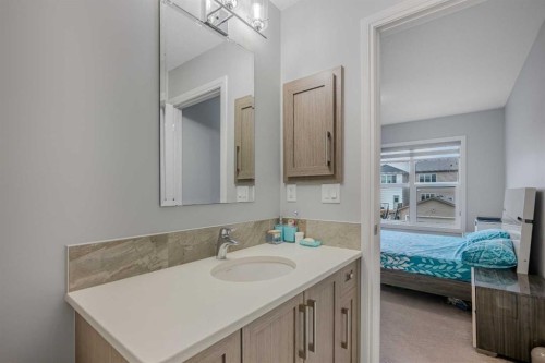 183 Cornerbrook Gate Ne, Calgary, AB - Indoor Photo Showing Bathroom