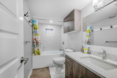 183 Cornerbrook Gate Ne, Calgary, AB - Indoor Photo Showing Bathroom