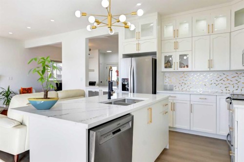 37 Royal Birch Landing Nw, Calgary, AB - Indoor Photo Showing Kitchen With Double Sink With Upgraded Kitchen