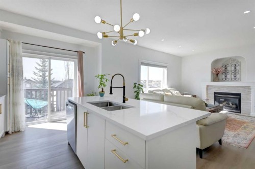 37 Royal Birch Landing Nw, Calgary, AB - Indoor Photo Showing Kitchen With Fireplace With Double Sink