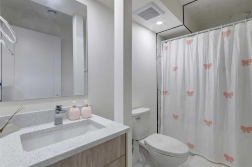 37 Royal Birch Landing Nw, Calgary, AB - Indoor Photo Showing Bathroom